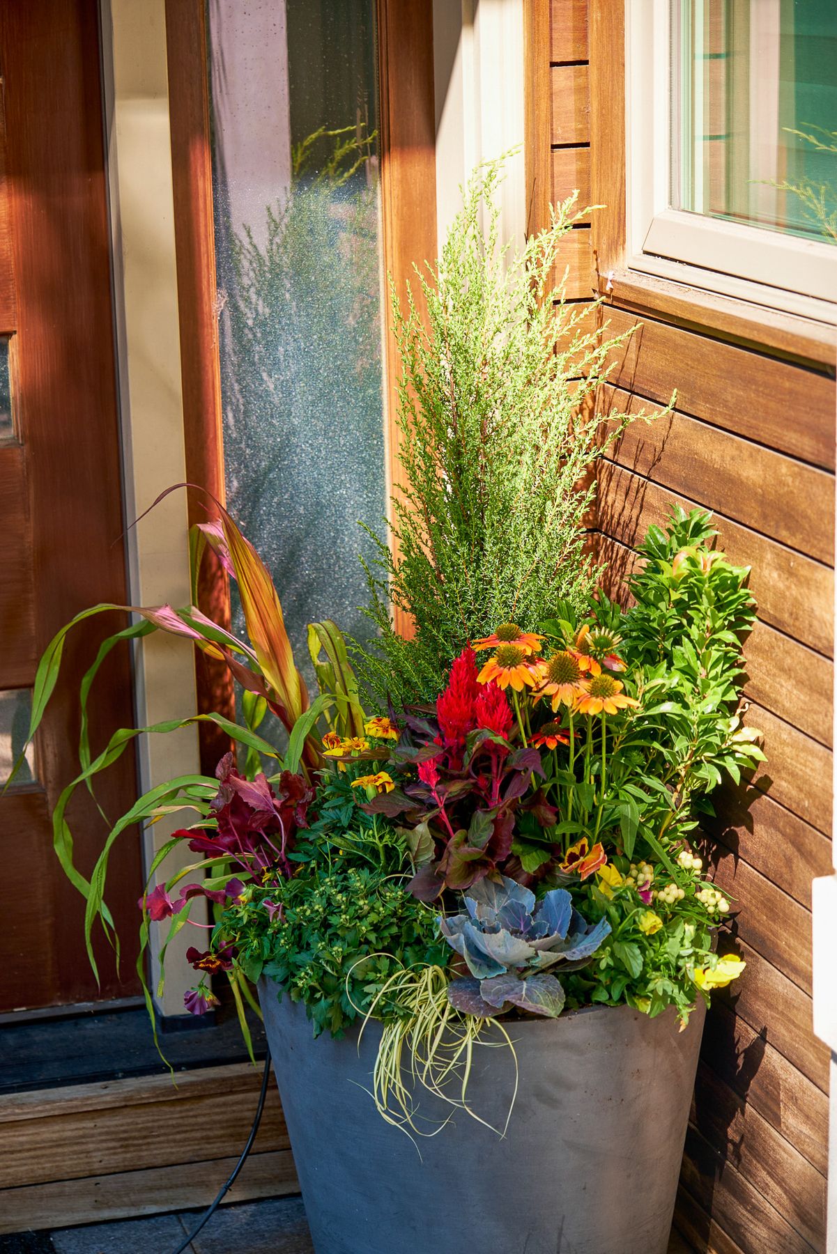 Enliven Planters fall container arrangement
